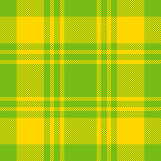 Erin's plaid 1