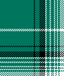SS21 ADULTS XMAS GREEN