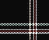 mintnontwill