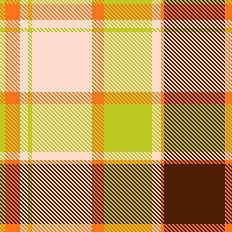 pumpkin plaid 3