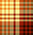 Fall 6