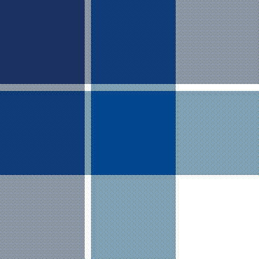 coppel_3