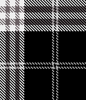 B/W Twill