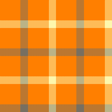 Idaho Falls Orange Tattersal