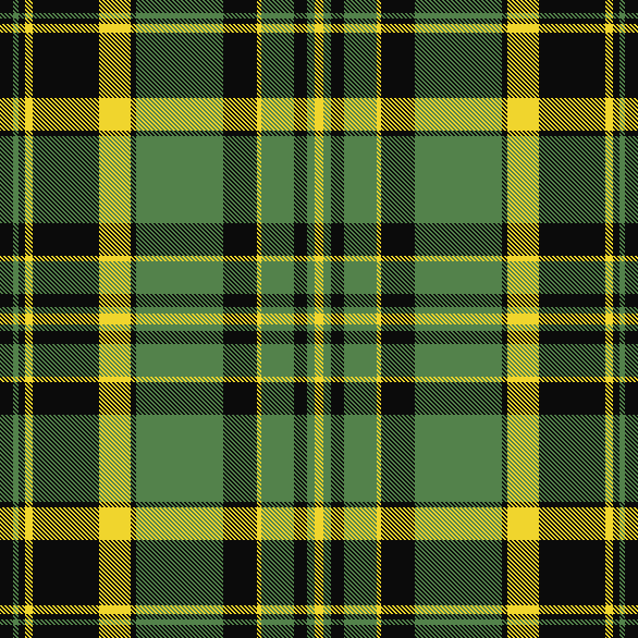 Baylor Plaid2