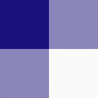 Gingham Navy