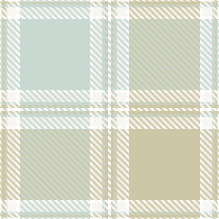 proper living room plaid