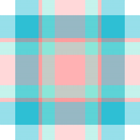 Mint and Coral Plaid 6
