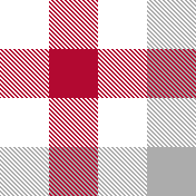 gray red buffalo checks