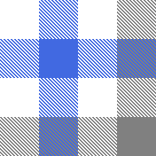 blue, gray buffalo checks