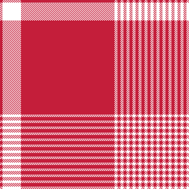 16fw plaid-red
