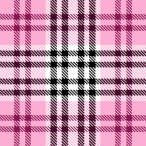 Pink Plaid 6