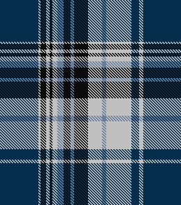 BLAINE PLAID