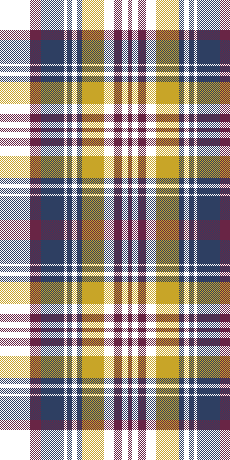 PreppyHandbook1