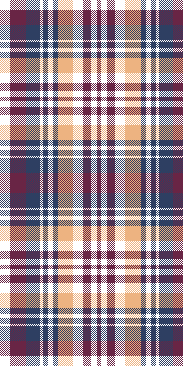 PreppyHandbook3