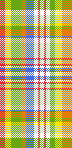 Sejal patel madras plaid