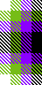 Purple Lime