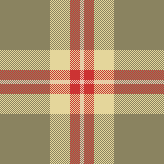 Cozy Olive Drab