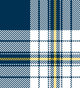 2023-Navy and Gold-Option 16