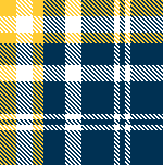 2023-Navy and Gold-Option 24