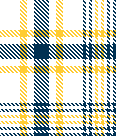 2023-Navy and Gold-Option 25