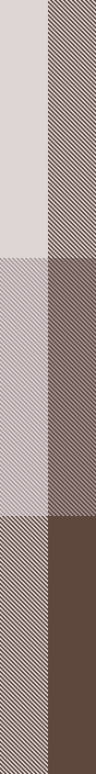 Brown beige scarf