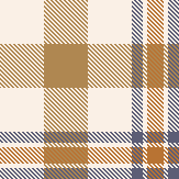 plaid throw 2