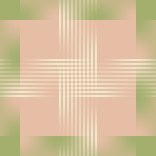 Drop 2 Plaid Option 2