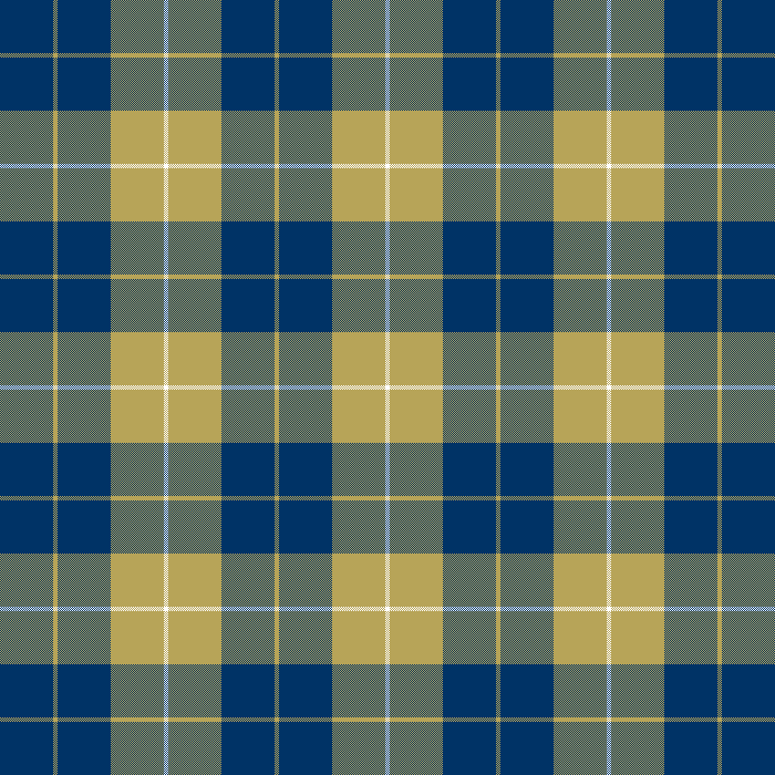 Gold & Blue 48