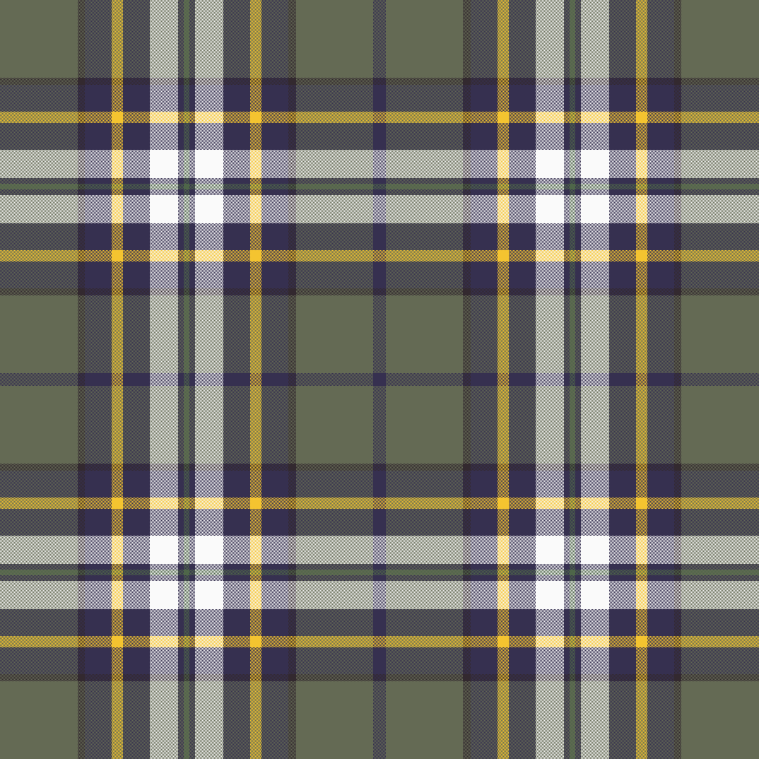 Baylor plaid