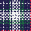 Raf Simons nylon plaid