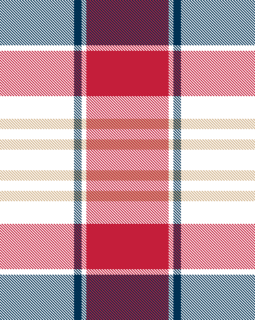 patrioticplaid