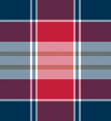 patrioticplaid