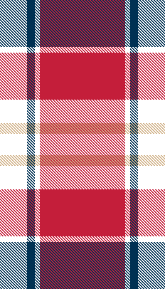 patrioticplaid