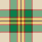 Camp Blanket 2