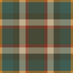D1 PLAID 3