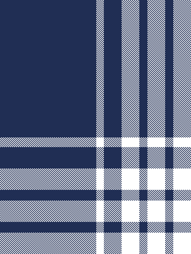 classic new navy