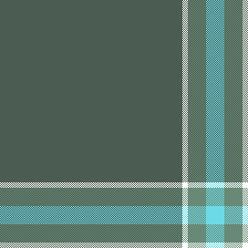 REGULAR PLAID