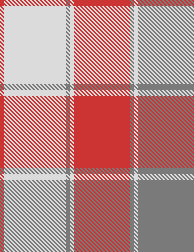 STUDANCHECKPLAID