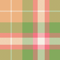 Plaid07