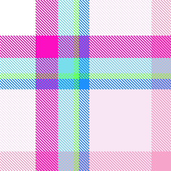 allisonplaid2024