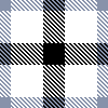 格子小的
