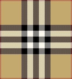 Burberry House Check