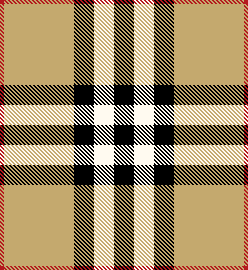 Burberry House Check