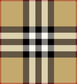 Burberry House Check