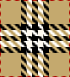 Burberry House Check