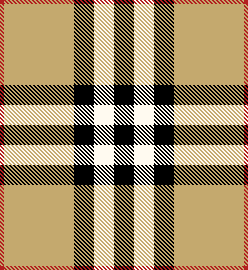 Burberry House Check