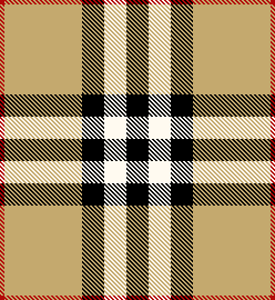 Burberry House Check