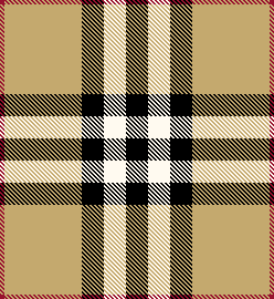 Burberry House Check