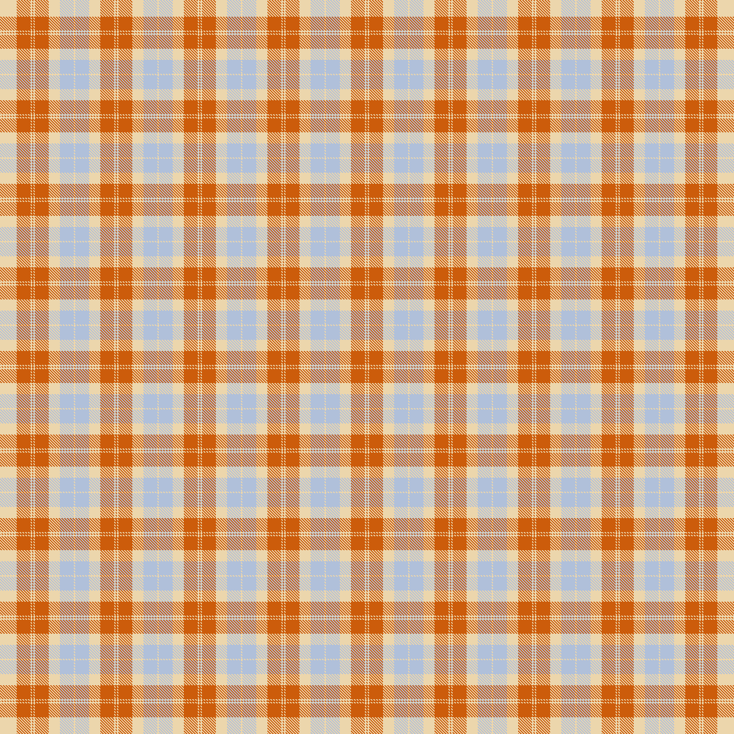 Jens plaid 60